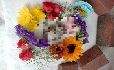 「石川県金沢市でご納得のいく場所でハムスターちゃんを穏やかにお見送りいたしました」写真