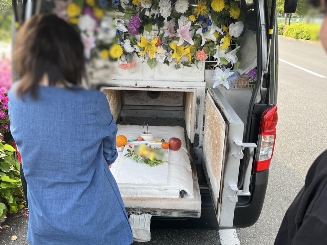 金沢市でセキセイインコちゃんの旅立ちをお手伝いしました